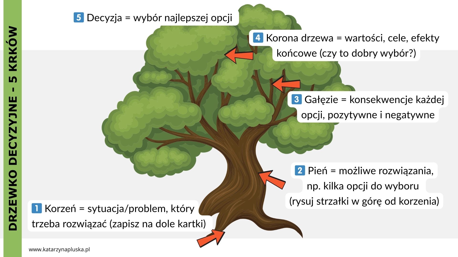 Drzewko decyzyjne. Prezentacja slajdów dla młodzieży www.katarzynapluska.pl 